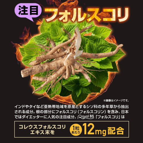 フォルスコリ お徳用 150粒