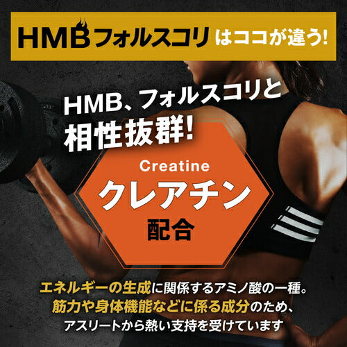 HMB フォルスコリ 150粒 (#40)