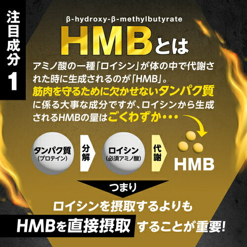 HMB フォルスコリ 150粒 (#40)