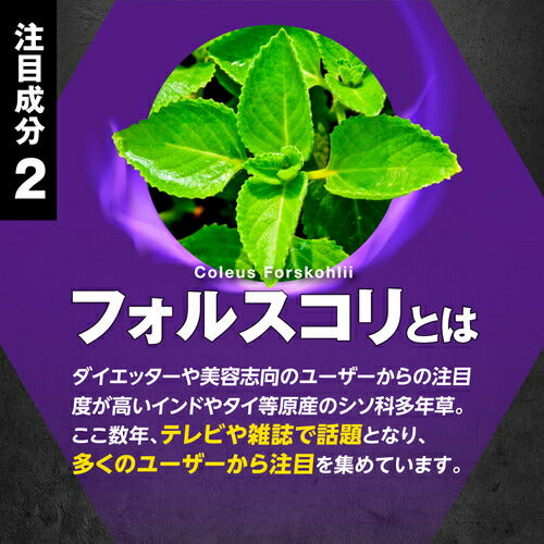 HMB フォルスコリ 150粒 (#40)