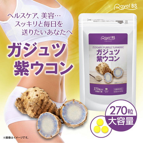 ガジュツ紫ウコン 270粒