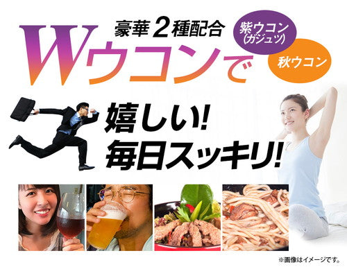 ガジュツ紫ウコン 270粒