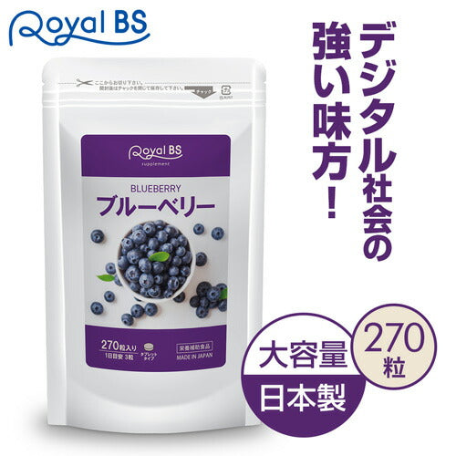 ブルーベリー 270粒 (#30)