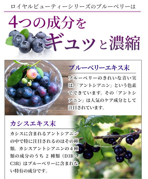 ブルーベリー 270粒 (#30)