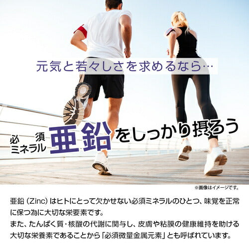 亜鉛 270粒 (#30)