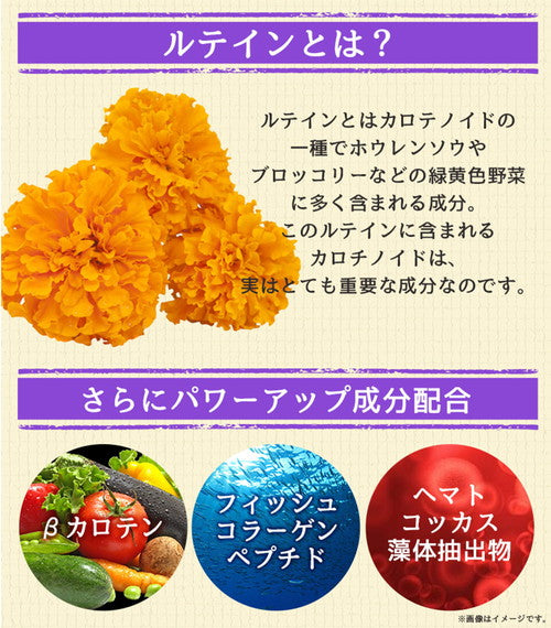 ルテイン 270粒 (#40)