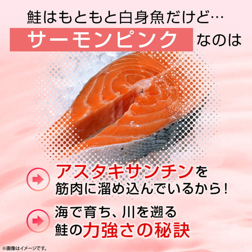 アスタキサンチン&ビタミンE 180粒 (#40)