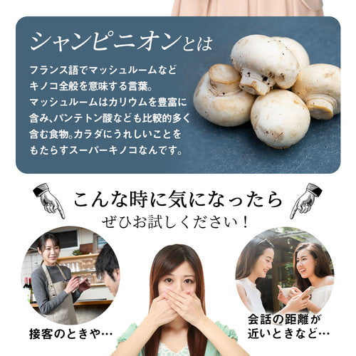 シャンピニオンスプラッシュ 180粒 (#40)