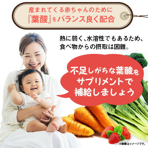 ビタミンB群+葉酸 270粒 (#30)
