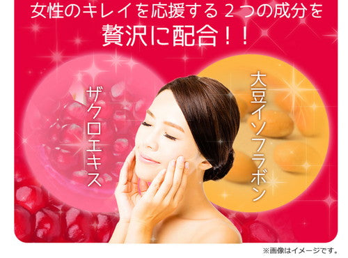 ザクロエキス&大豆イソフラボン 270粒 (#40)