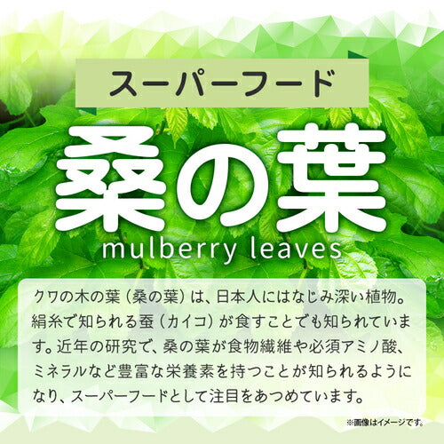 桑の葉粒 270粒 (#30)