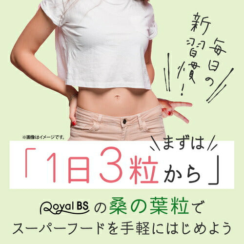 桑の葉粒 270粒 (#30)
