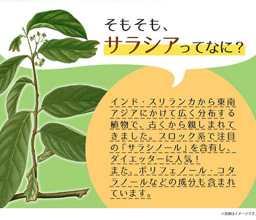 サラシアエキス 270粒 (#40)