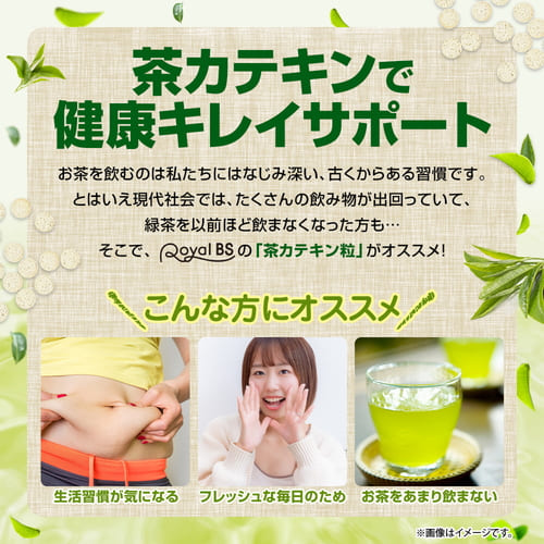 茶カテキン粒 270粒 (#30)