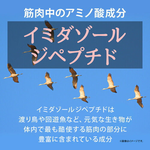 イミダゾールジペプチド180 180粒