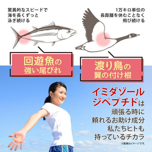 イミダゾールジペプチド180 180粒
