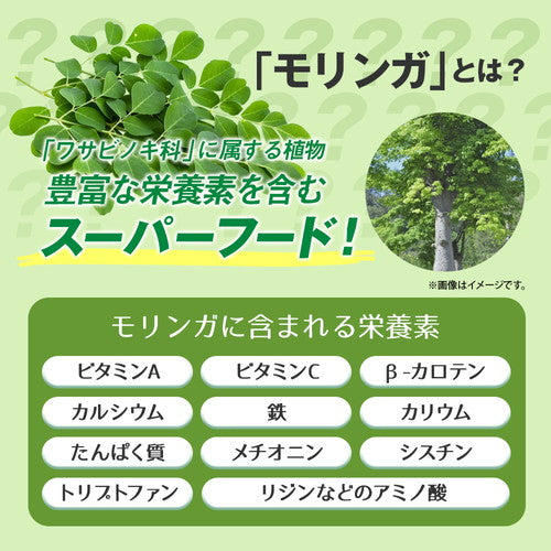 毎日モリンガ粒 270粒