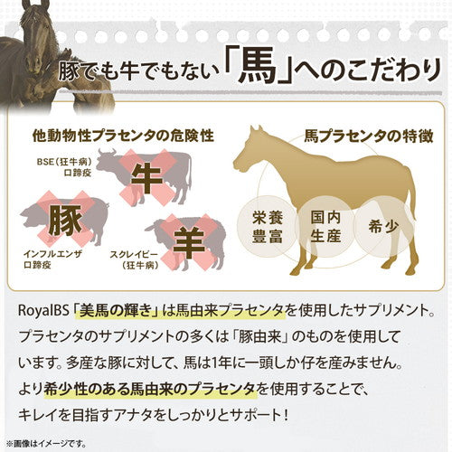 美馬の輝き