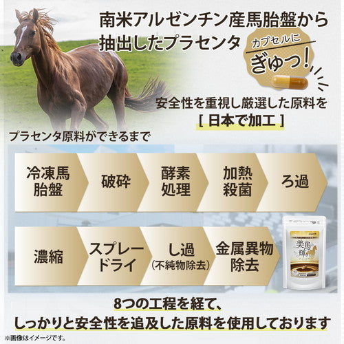 美馬の輝き
