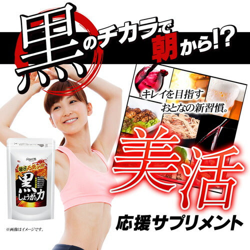 黒しょうがの力 180粒