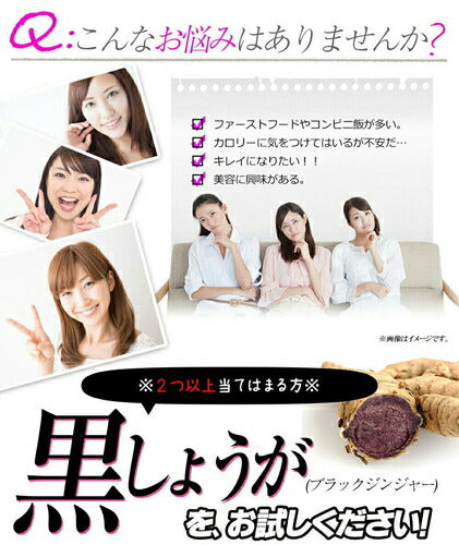 黒しょうがの力 180粒