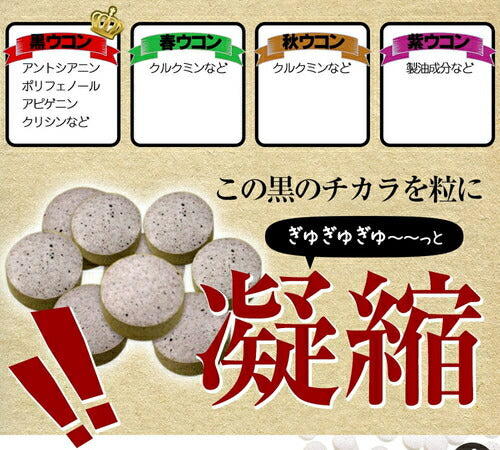 黒しょうがの力 180粒