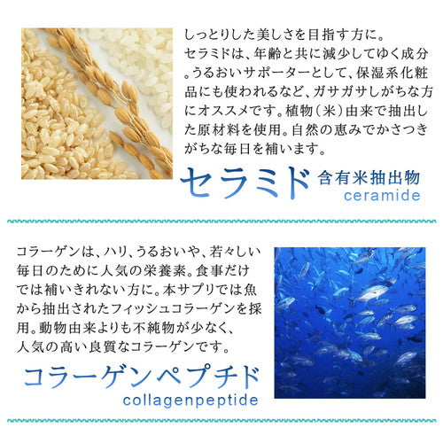 プロテオグリカン 90粒 (#30)