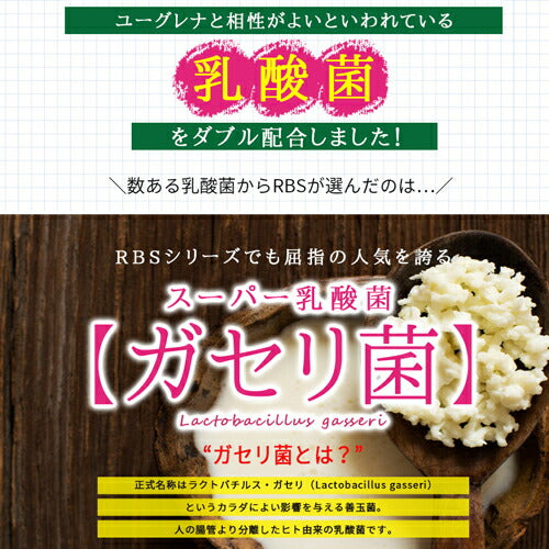 ユーグレナの恵み 90粒 (#40)