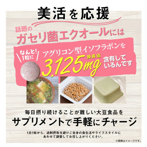 ガセリ菌エクオール 90粒