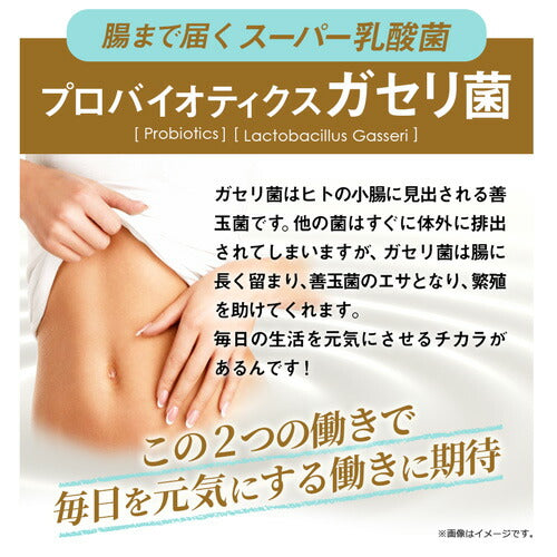 ガセリ菌エクオール 90粒