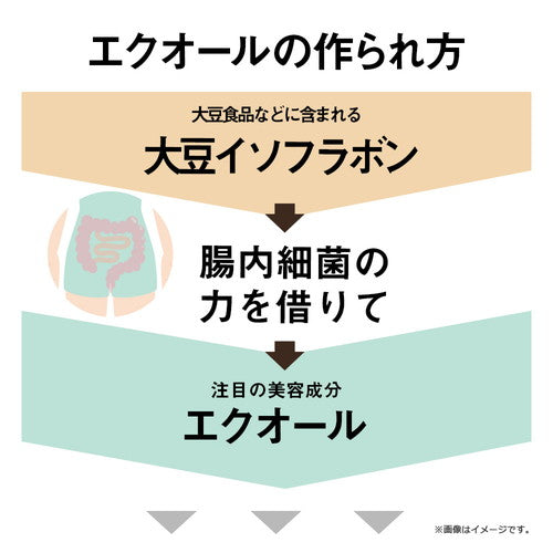 ガセリ菌エクオール 90粒
