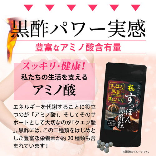 極・すっぽん黒酢粒 90粒 (#30)