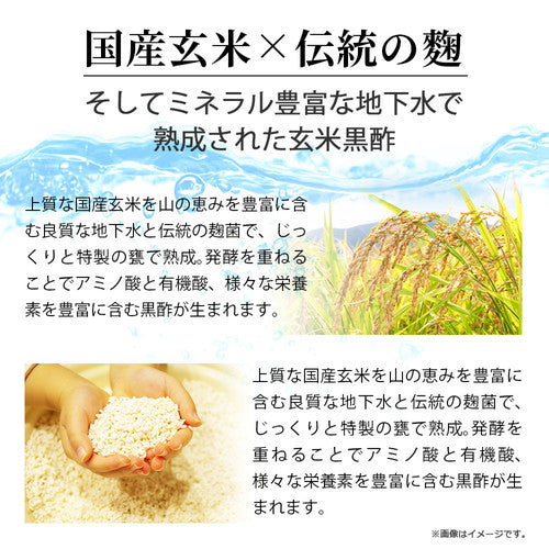 極・すっぽん黒酢粒 90粒 (#30)