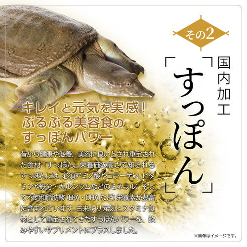 極・すっぽん黒酢粒 90粒 (#30)