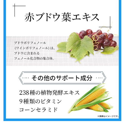 カリウム習慣 300粒 (#40)