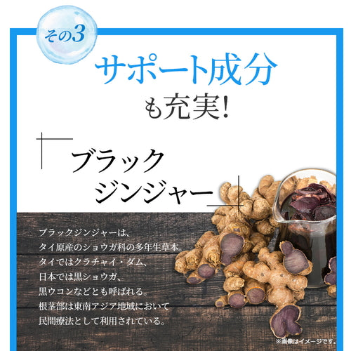 カリウム習慣 300粒 (#40)
