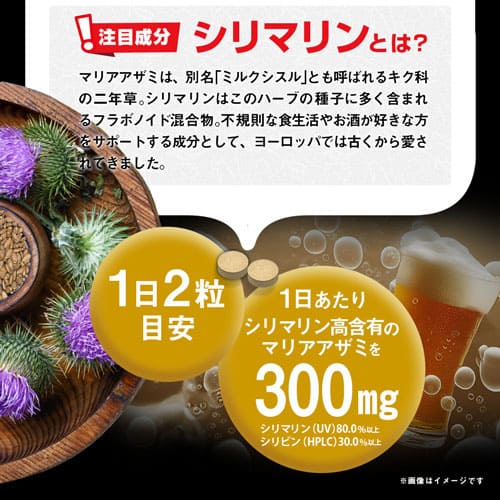 大肝神 だいかんじん 10粒 (#30)