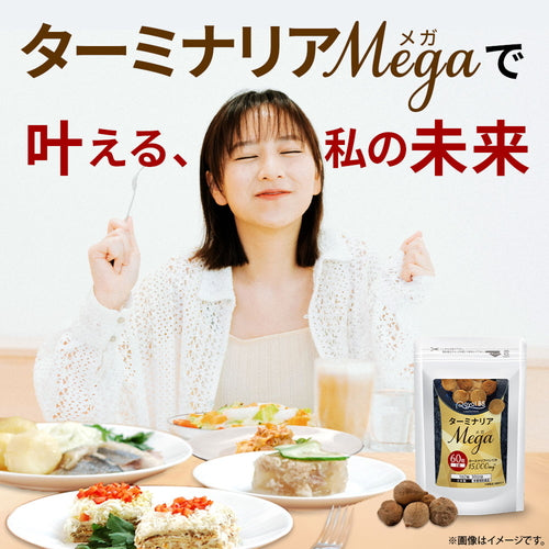 ターミナリアMEGA 60粒(#30)