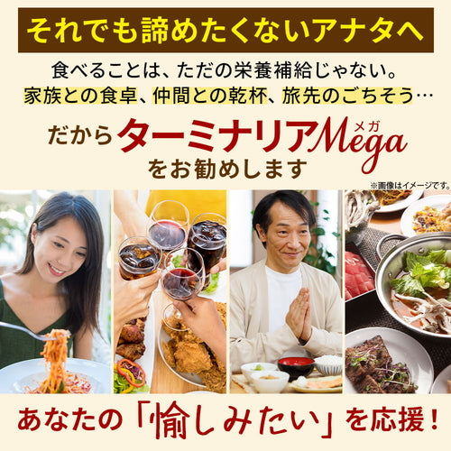 ターミナリアMEGA 60粒(#30)