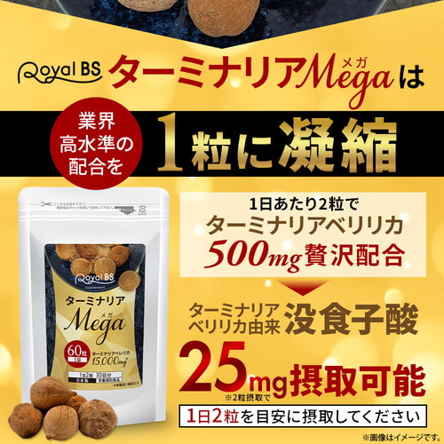 ターミナリアMEGA 60粒(#30)