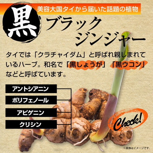 黒しょうがの力 180粒　（#40）