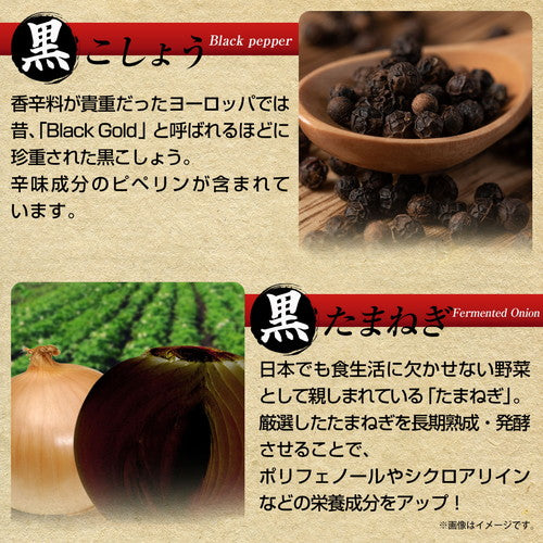 黒しょうがの力 180粒　（#40）