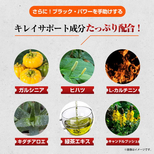 黒しょうがの力 180粒　（#40）