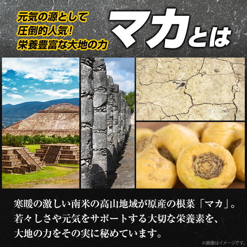 黒マカプレミアム 90粒　（#30）