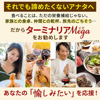 ターミナリアMEGA 60粒（#30）